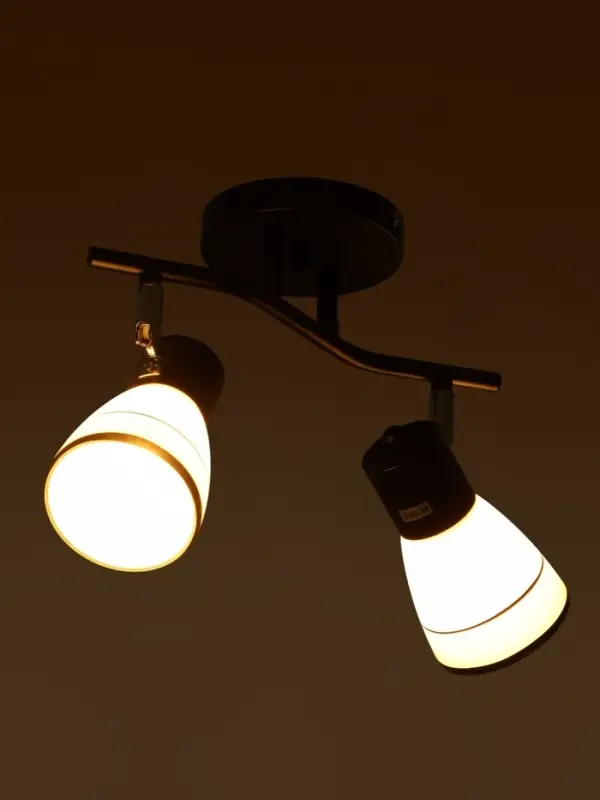 Спот потолочный &laquo;Айрис&raquo;, 2хЕ14, 40 Вт, черный, 38&times;18&times;22 см