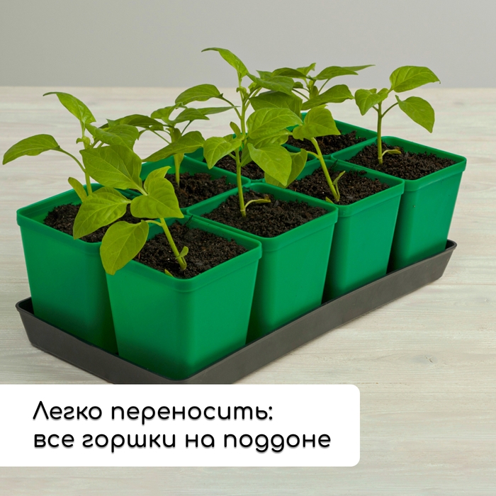 Набор для рассады: стаканы по 600 мл (8 шт.), поддон 36 × 18 см, цвет МИКС, Greengo Набор для рассады: стаканы по 600 мл (8 шт.), поддон 36 × 18 см, цвет МИКС, Greengo