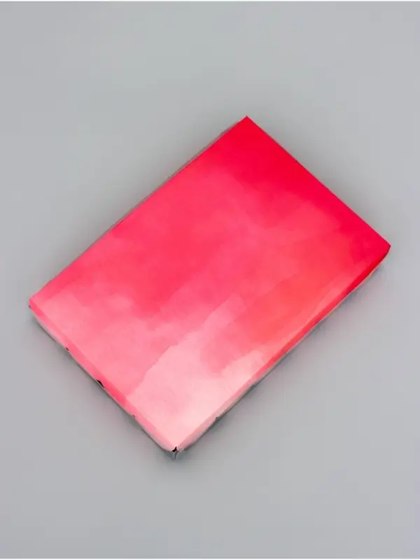 Коробка для печенья, «Тюльпаны», 22×15×3 см Коробка для печенья, «Тюльпаны», 22×15×3 см