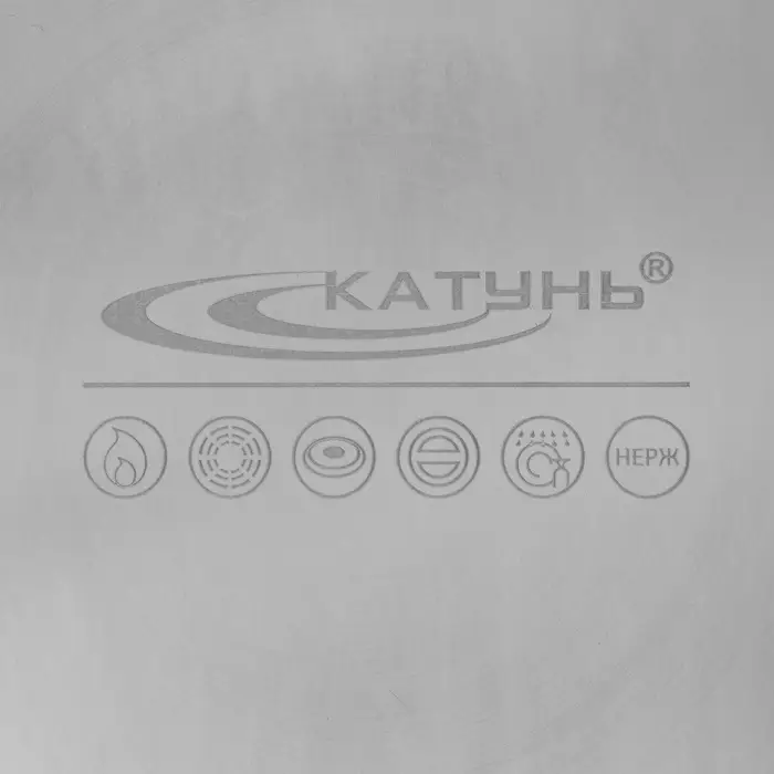 Котёл Катунь &laquo;Общепит&raquo;, 40 л, d=40 см, h=35 см, с крышкой, нержавеющая сталь, хромированная