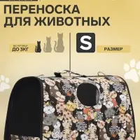 Сумка - переноска каркасная &laquo;Кошки&raquo;, размер S, 37.5&times;17&times;22 см