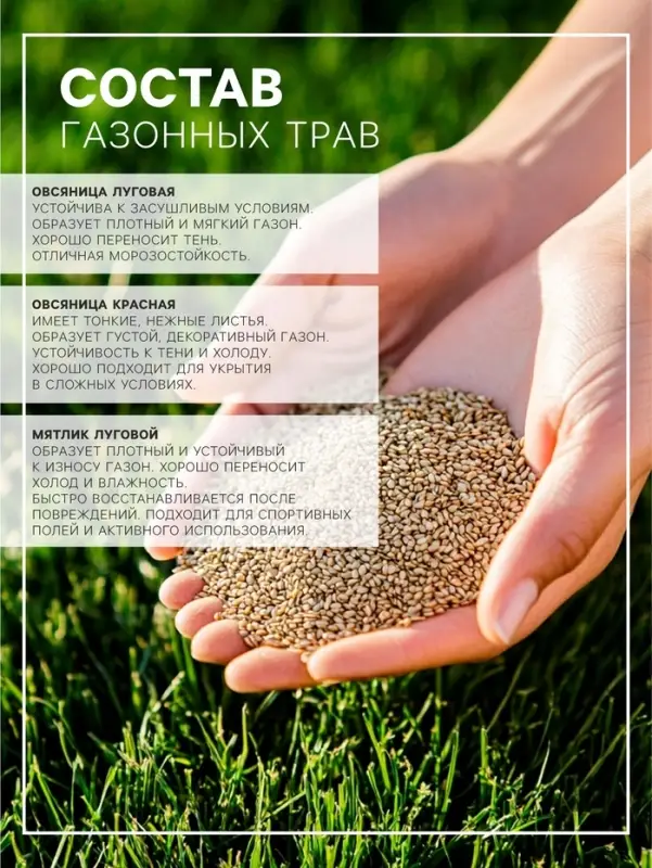Газонная травосмесь &laquo;Красотень Гном&raquo;, 0.5 кг