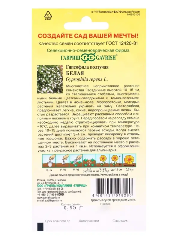 Семена цветов Гипсофила ползучая, Белая* 0,05 г