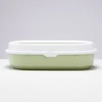 Туалет с бортом 40×34×11 см, зелёный Туалет с бортом 40×34×11 см, зелёный