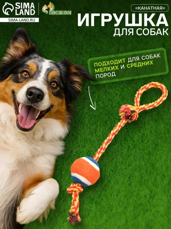 Игрушка тренировочная канатная, до 125 г, до 45 см, с мячом, цвет МИКС