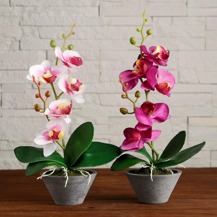 Композиция в горшочке  Композиция в горшочке "Орхидея" 10х28 см, микс