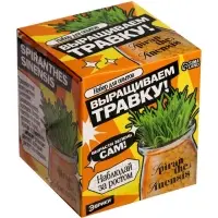 Набор для опытов &laquo;Выращиваем травку&raquo;, своими руками, оранжевый