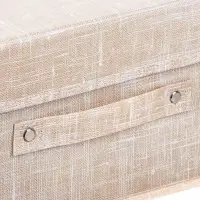 Кофр для хранения с крышкой тм VETTA ЛЁН, полиэстер, 26х20х15см, бежевый