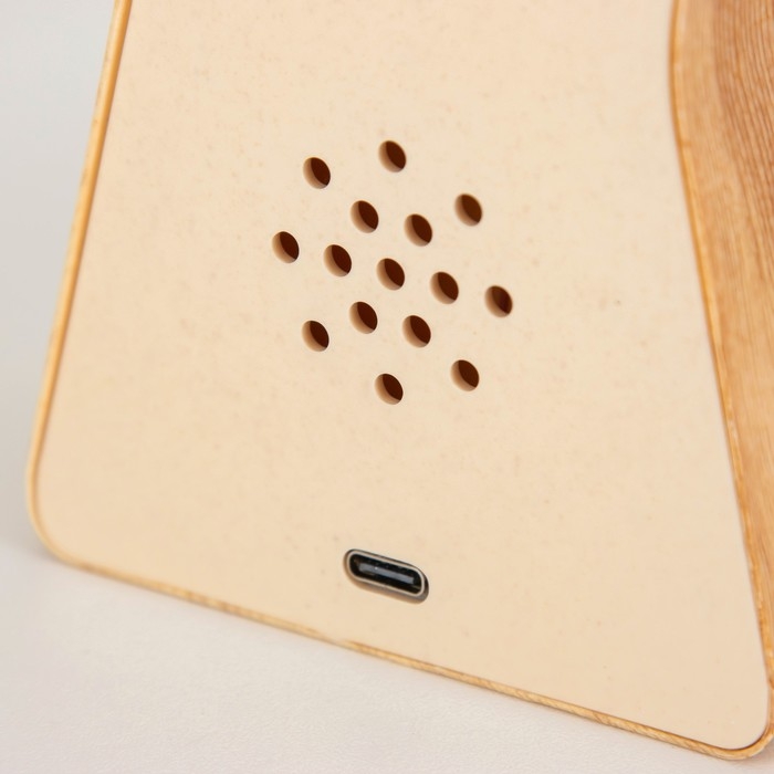 Светильник сенсорный  Светильник сенсорный "Глобус" LED крутится 6Вт USB 15х4х16 см RISALUX