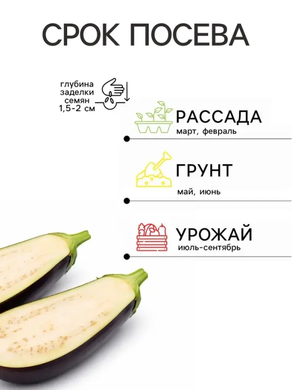 Семена Баклажан &laquo;Король Рынка&raquo;, F1, 35 шт., &laquo;Русский огород&raquo;