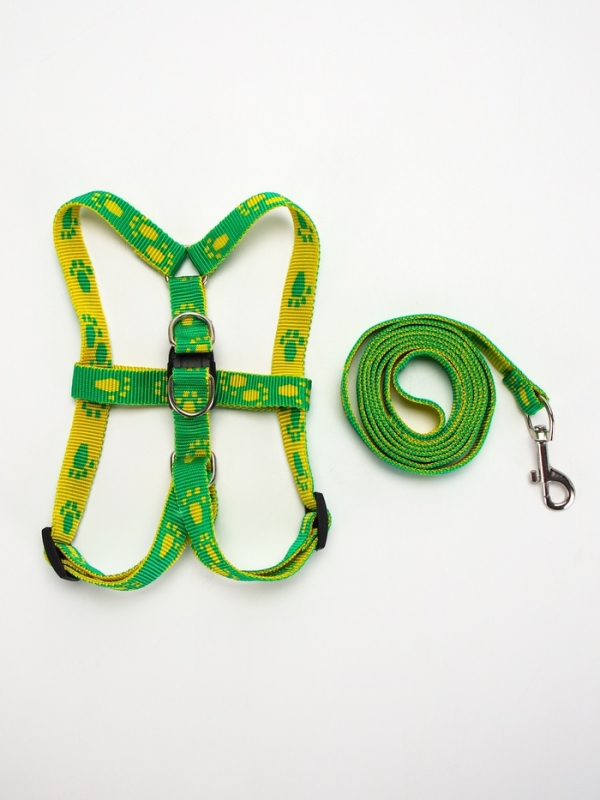 Комплект "Большая лапа", ширина 1,5 см, поводок 120 см, шлейка 28-42 см, жёлто-зелёный