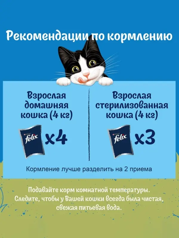 Влажный корм Felix Природа вкуса для кошек, говядина, 75 г