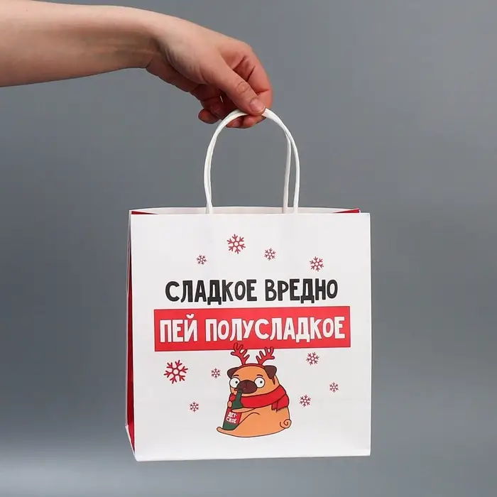 Набор пакетов подарочных новогодних &laquo;Пусть мечты сбудутся&raquo;, 6 шт., 22&times;22&times;11 см