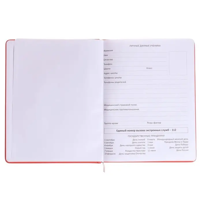 Дневник универсальный 1-11 класса Hey! I'm okay!, твёрдая обложка, искусственная кожа, шелкография, ляссе, блок 80 г/м2