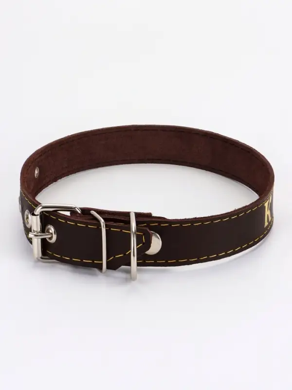 Ошейник &laquo;Красотка&raquo;, 60&times;2.5 см, однослойный, тиснение фольгой, кожа, цвет МИКС