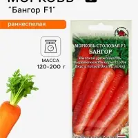 Семена Морковь столовая &laquo;Бангор&raquo;, F1, раннеспелая, 0.2 г, &laquo;Золотая сотка Алтая&raquo; селекция Bejo Zaden