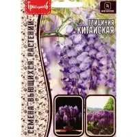 Семена цветов Глициния Китайская 3шт.  12.29 г.