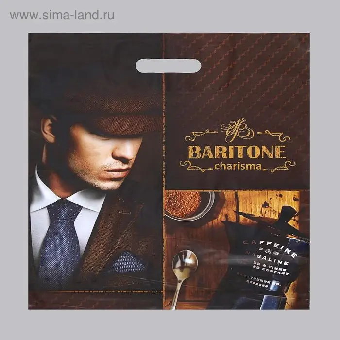 Пакет «Баритон», полиэтиленовый с вырубной ручкой, 45 мкм 40×47 см Пакет «Баритон», полиэтиленовый с вырубной ручкой, 45 мкм 40×47 см