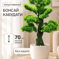 Дерево искусственное &laquo;Бонсай Кабудати&raquo;, h=70 см