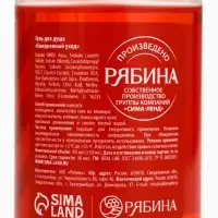 Гель для душа, аромат пряного глинтвейна, 110 мл, URAL LAB