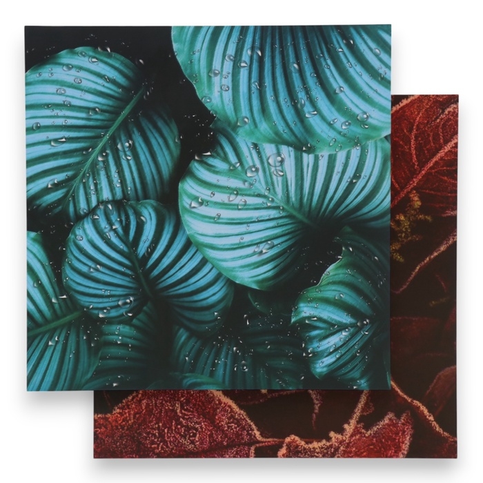 Фотофон двусторонний картон плотность 350 гр Фотофон двусторонний картон плотность 350 гр "Листья" 50х50 см