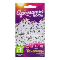 Семена Вечерница "Матроны Белая", ц/п, 0,3 гр. Семена Вечерница "Матроны Белая", ц/п, 0,3 гр.