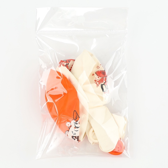 Воздушный шар латексный 12 Воздушный шар латексный 12" «С днем рождения. Корги», набор 5 шт.