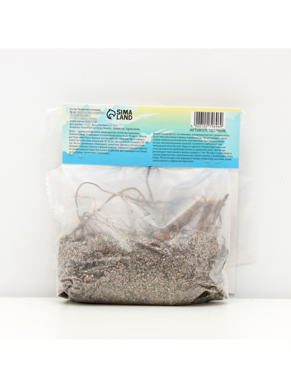 Флокс «Зенобия» корневище в пакете с торфогрунтом, р-р I, 2 шт.