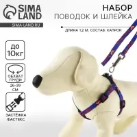 Комплект Super Dog, шлейка 26-39 см, поводок 120х1 см