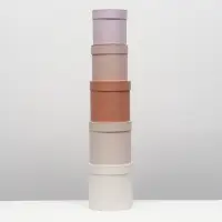 Набор круглых коробок 5 в 1 &laquo;Нюд&raquo;, 20&times;20&times;20 - 11&times;11&times;11 см