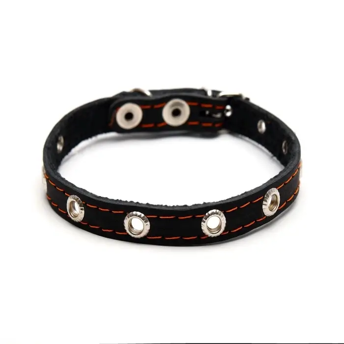 Ошейник кожаный однослойный с рифлеными люверсами, 35&times;1.2 см, ОШ 10-28 см, безразмерный, микс цветов