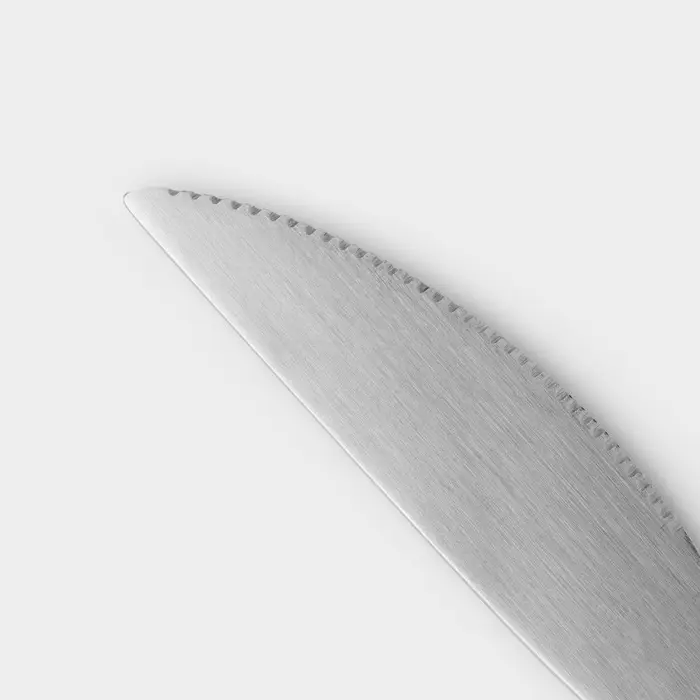 Ножи столовые Доляна Sentiment, длина 23 см, набор 6 шт., нержавеющая сталь, серебристые