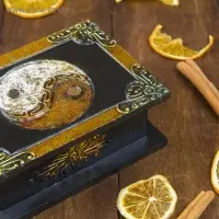 Шкатулка "Ин-Янь" 15х10х5 см, МДФ Шкатулка "Ин-Янь" 15х10х5 см, МДФ