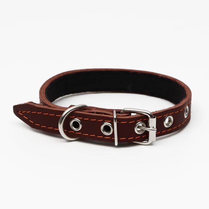Ошейник кожаный  на синтепоне украшенный, 45 х 2 см, ОШ 25-35 см, коричневый Ошейник кожаный  на синтепоне украшенный, 45 х 2 см, ОШ 25-35 см, коричневый