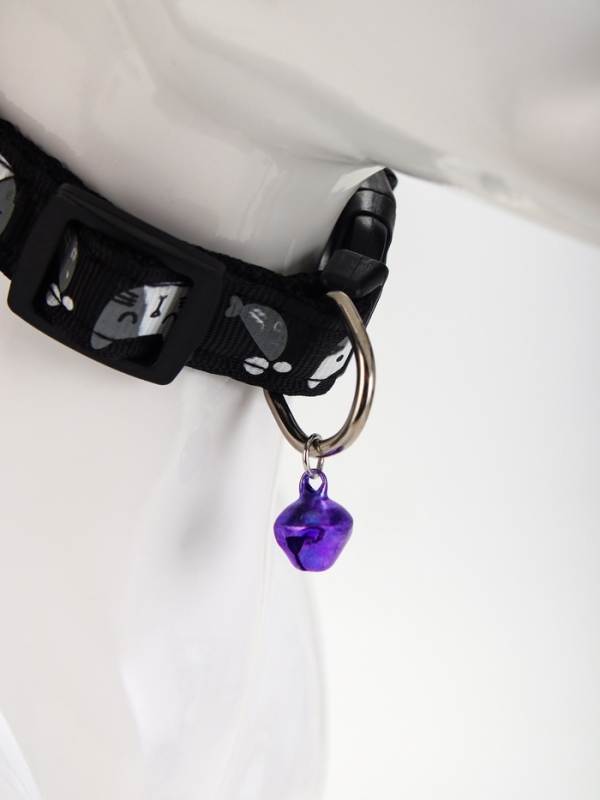 Ошейник Ошейник "Котята", 40 х 1,5 см, черный