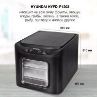 Сушка для фруктов и овощей HYFD-P1203