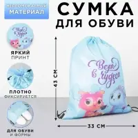 Мешок для обуви &laquo;Верь в чудеса&raquo; (болоньевый материал) 43&times;33 см