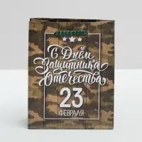 Пакет подарочный ламинированный, упаковка, «С 23 февраля», S 12 х 15 х 5.5 см