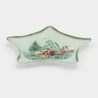 Блюдо сервировочное звезда "Зверьки в лесу" 19,5 см