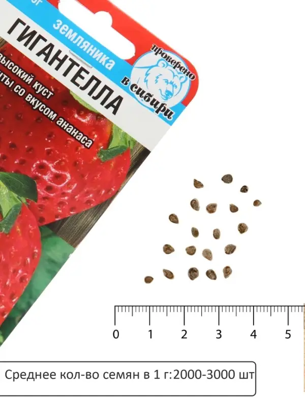 Семена Земляника &laquo;Гигантелла&raquo;, 10 шт., &laquo;Сибирский сад&raquo;