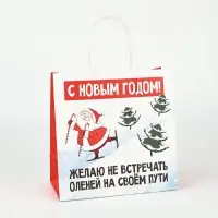 Пакеты подарочные новогодние &laquo;Новый год&raquo;, 22&times;22&times;11 см, 10 шт.