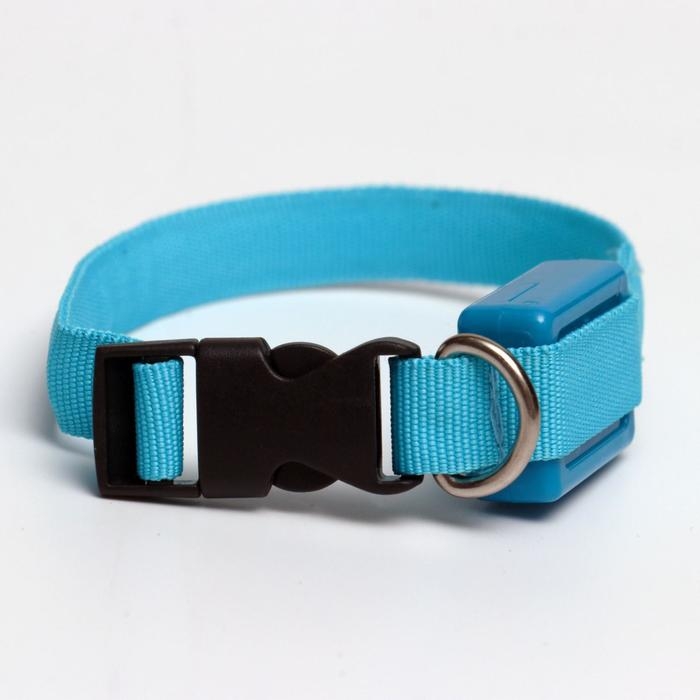 Ошейник светящийся узкий для небольших собак, 26 х 1,5 см, голубой Ошейник светящийся узкий для небольших собак, 26 х 1,5 см, голубой