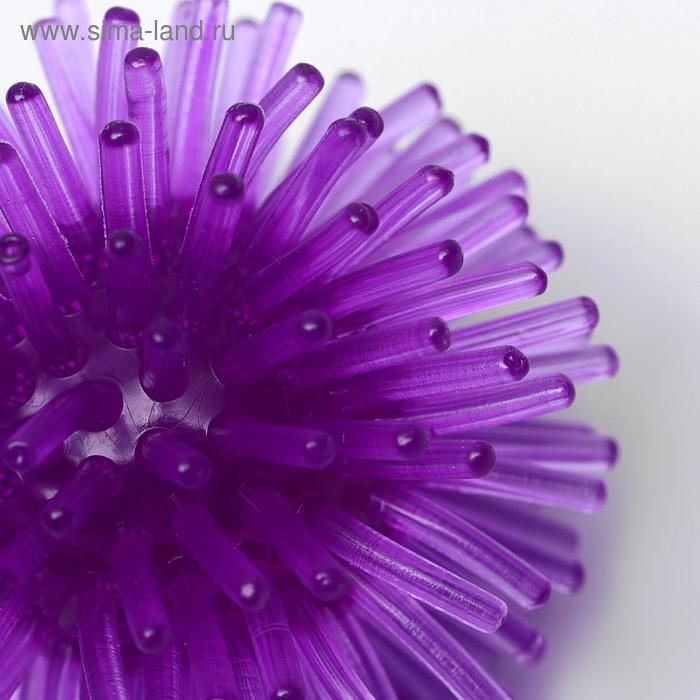 Шарик для кошек игольчатый, мягкий, 5 см, фиолетовый Шарик для кошек игольчатый, мягкий, 5 см, фиолетовый