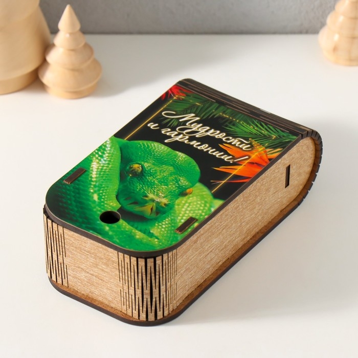 Новогодняя шкатулка  Новогодняя шкатулка "Змея. Тропики" 13х7х4 см