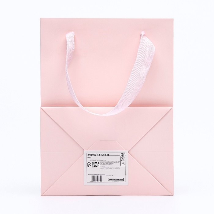 Пакет подарочный, с окном, 20 х 15 х 10 см, розовый Пакет подарочный, с окном, 20 х 15 х 10 см, розовый