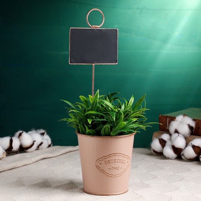 Кашпо  Кашпо "Ведерко Бьёрн" с табличкой для записей, МИКС, 10х8х10см