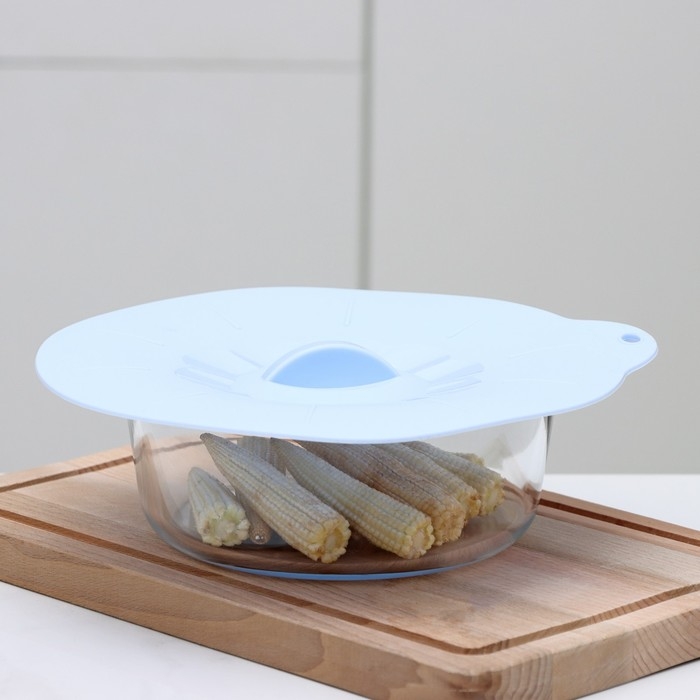 Крышка для хранения Доляна «Симпл», силикон, d=21 см, цвет голубой Крышка для хранения Доляна «Симпл», силикон, d=21 см, цвет голубой