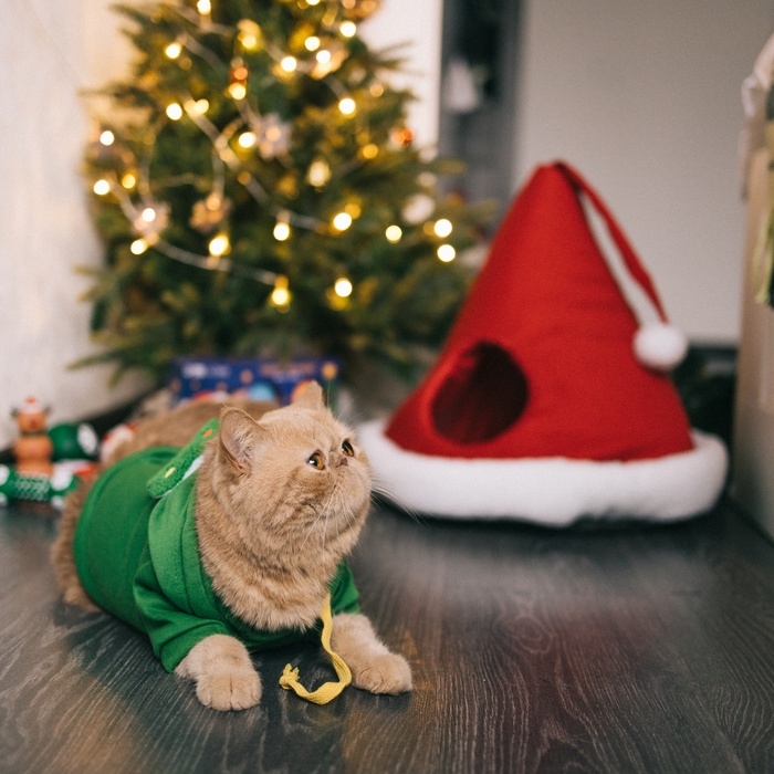 Костюм для животных Костюм для животных "Ёлка", размер L, зелёный