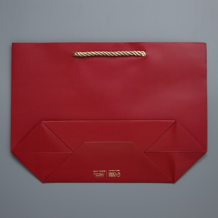 Пакет подарочный, упаковка, «Поздравляю от души», 19 х 20 х 9 см Пакет подарочный, упаковка, «Поздравляю от души», 19 х 20 х 9 см