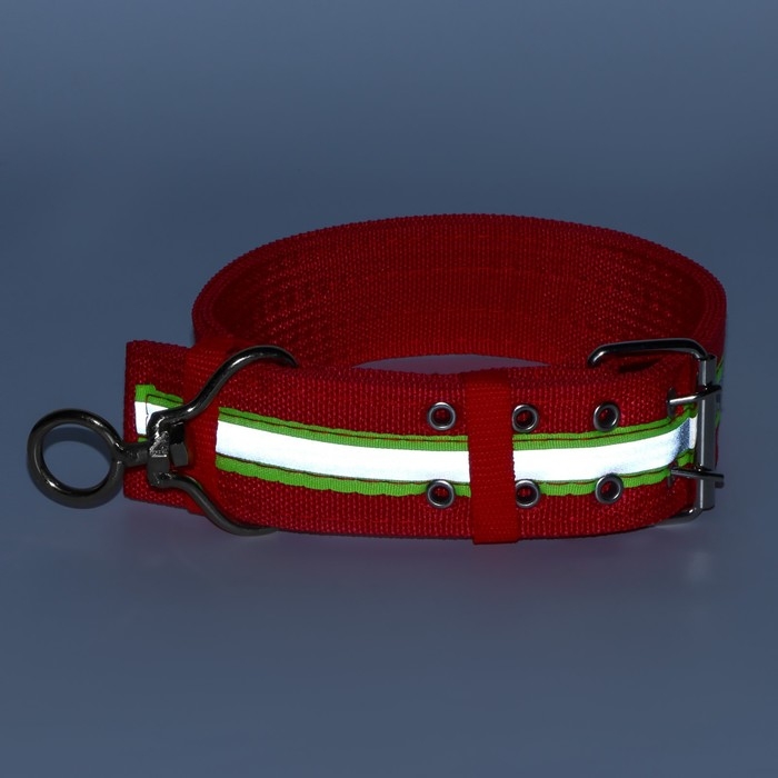 Ошейник четырехслойный светоотражающий с вертлюгом, 71 х 5 см, ОШ 55-65 см, красный Ошейник четырехслойный светоотражающий с вертлюгом, 71 х 5 см, ОШ 55-65 см, красный